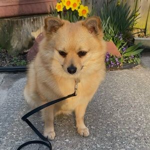 Meet your Posher, Jaylin